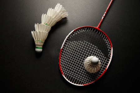 在这篇文章 在这篇文章