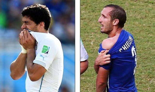 示了卓越的 示了卓越的